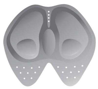 CRUISER SKIVEEZ Funktionsshorts mit Polsterung