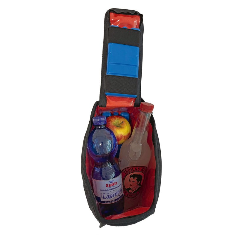 ALPINE LEGENDS Topcase-Set