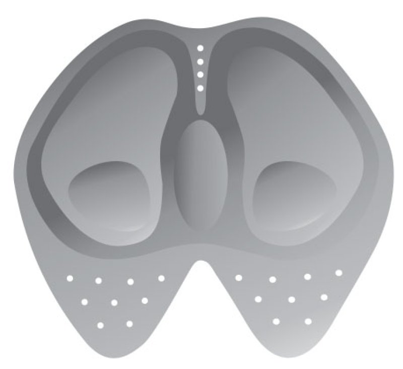 CRUISER SKIVEEZ Funktionsshorts mit Polsterung